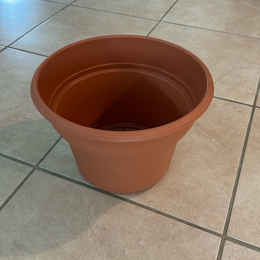 2/$5 12” Panterra Pot